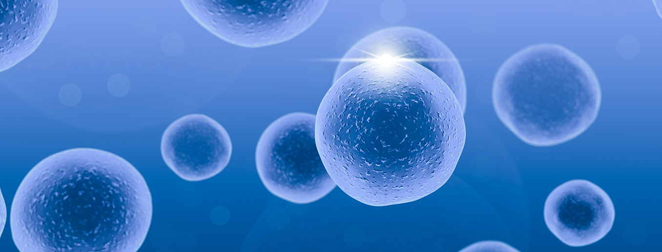 干細(xì)胞系列.png 干細(xì)胞系列.png